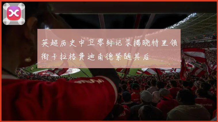 英超历史中卫零封记录揭晓特里领衔卡拉格费迪南德紧随其后